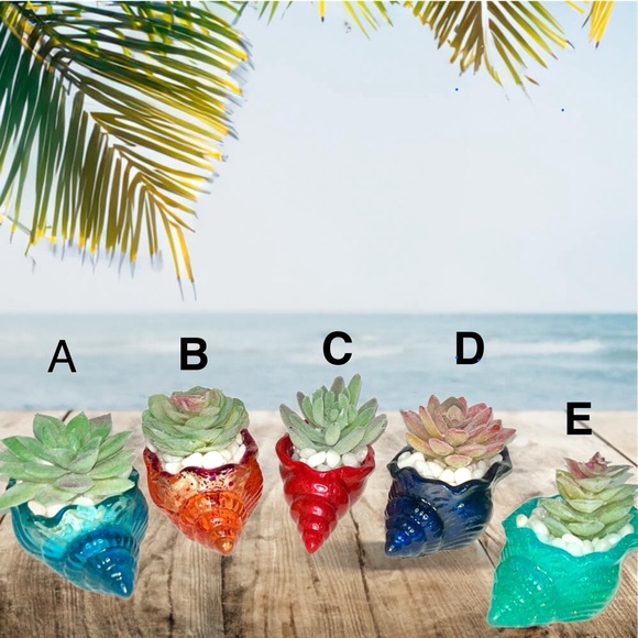Handmade Other - Handmade Acrylic Seashell Faux Succulent Planters